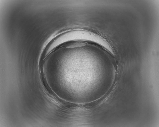 X0000066090246200603131211