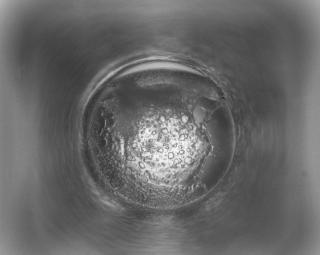 X0000066090247200603131211