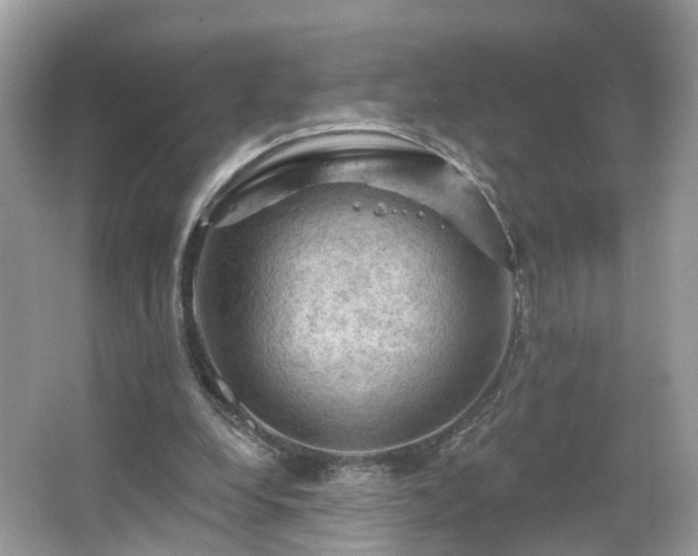 X0000066090248200603131211