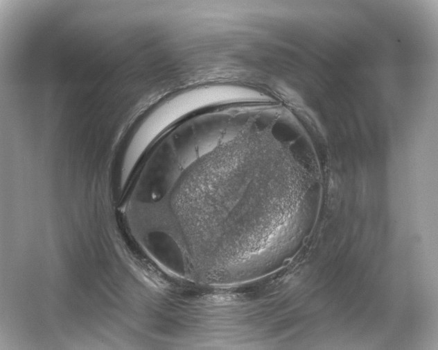 X0000066090250200603131211