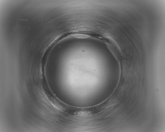 X0000066090251200603131211