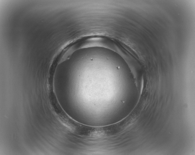 X0000066090252200603131211