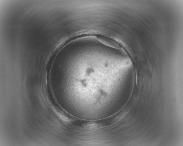 X0000066090253200603131211