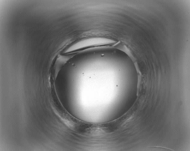 X0000066090254200603131211