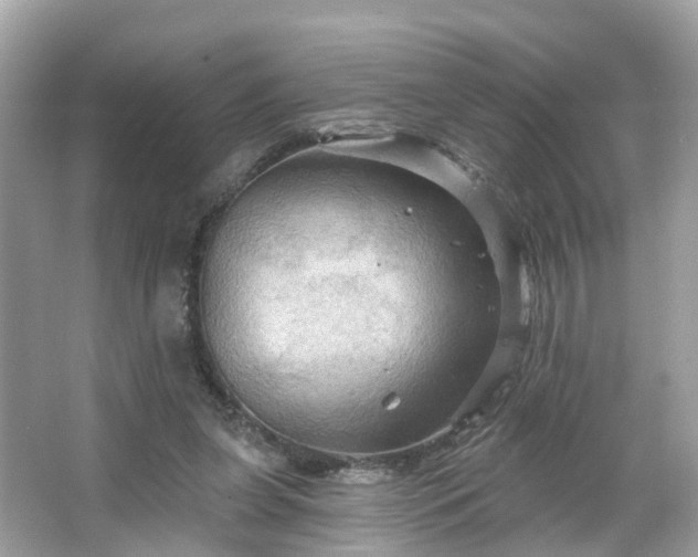 X0000066090255200603131211