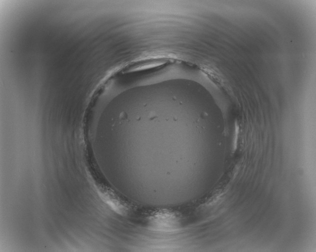 X0000066090256200603131211