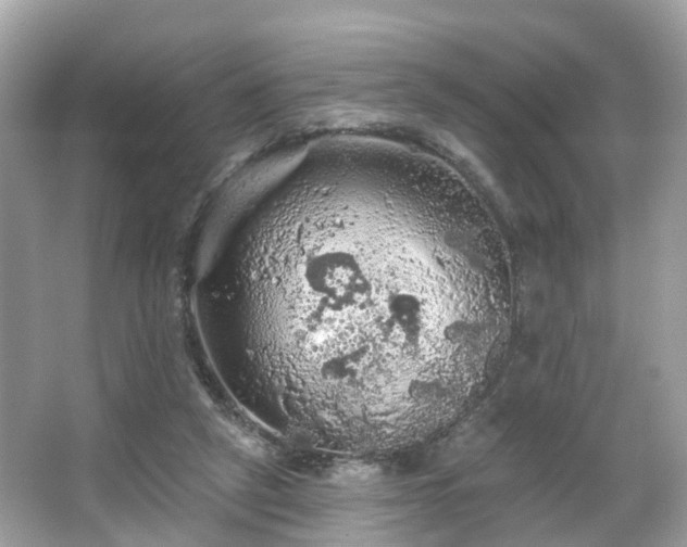 X0000066090257200603131211