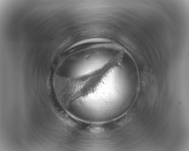 X0000066090258200603131211