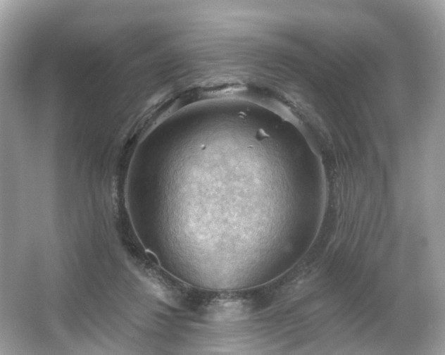 X0000066090260200603131211