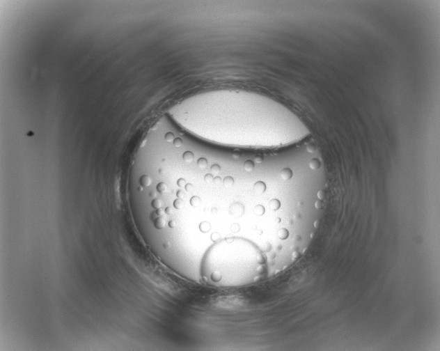 X0000066090262200603131211