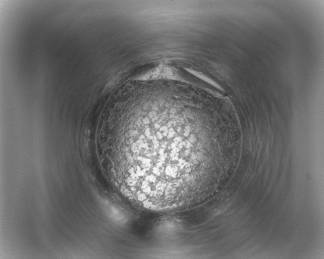 X0000066090263200603131211