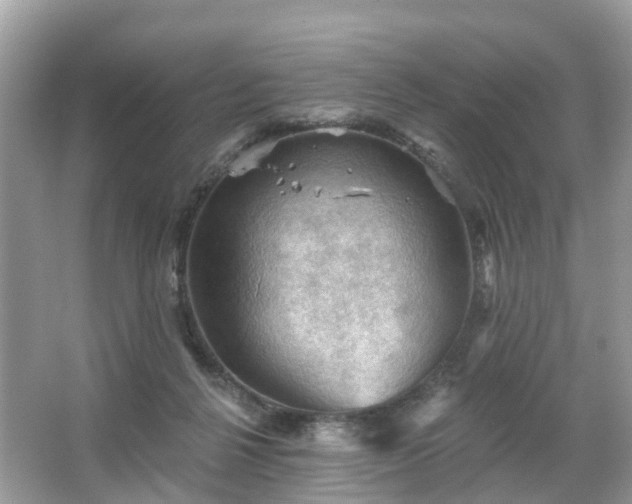 X0000066090264200603131211