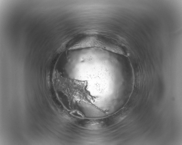 X0000066090267200603131211