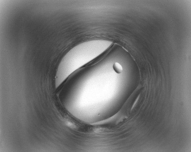 X0000066090268200603131211