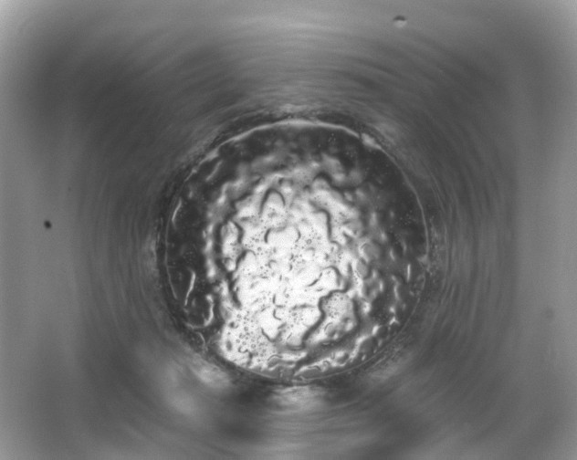 X0000066090269200603131211