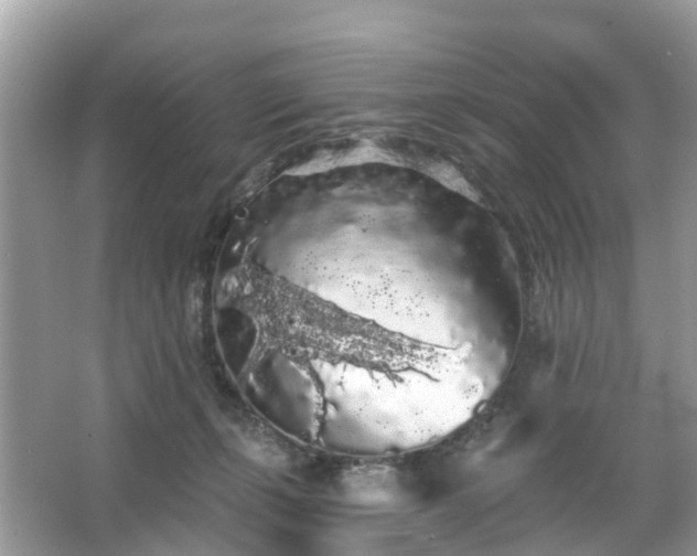 X0000066090271200603131211