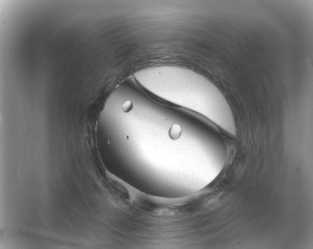 X0000066090272200603131211