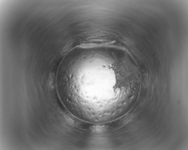 X0000066090273200603131211