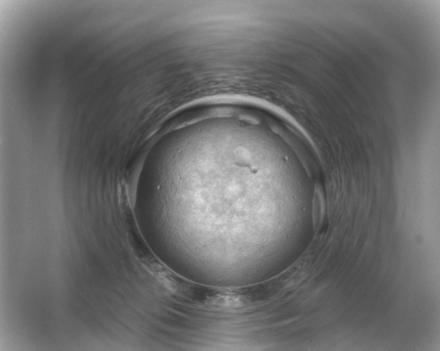 X0000066090276200603131211