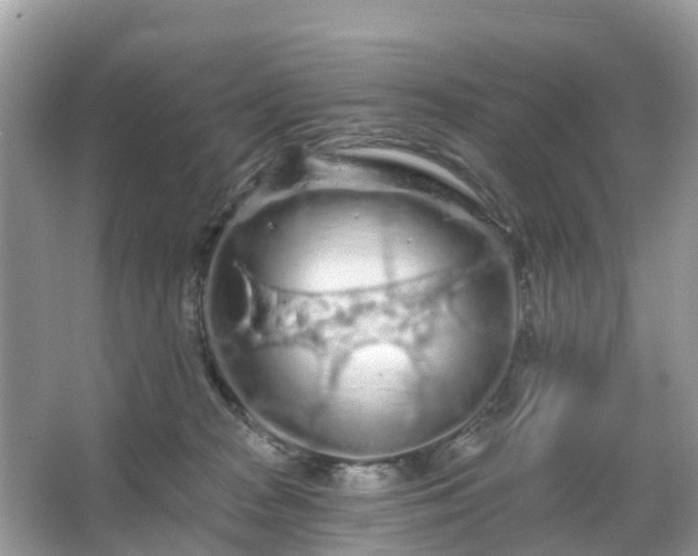 X0000066090277200603131211