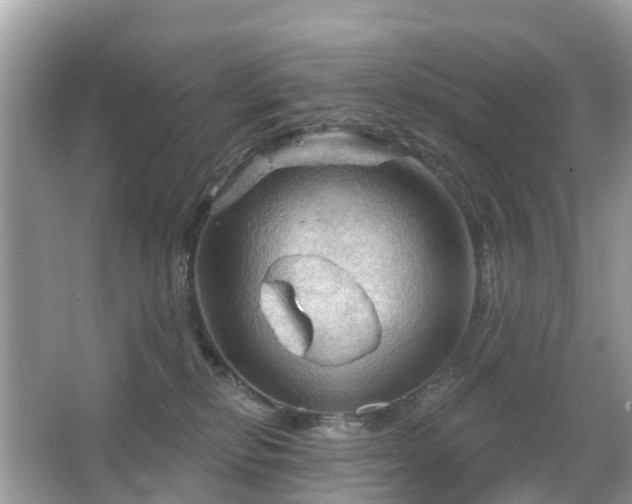 X0000066090278200603131211