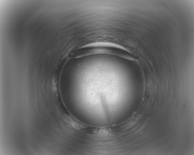 X0000066090282200603131212