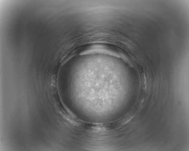 X0000066090284200603131212