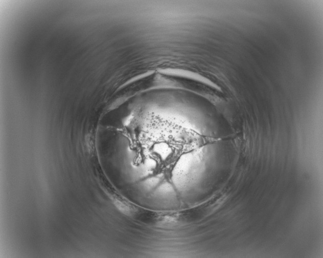 X0000066090285200603131212