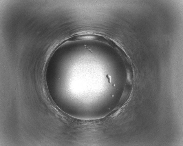 X0000066090289200603131211