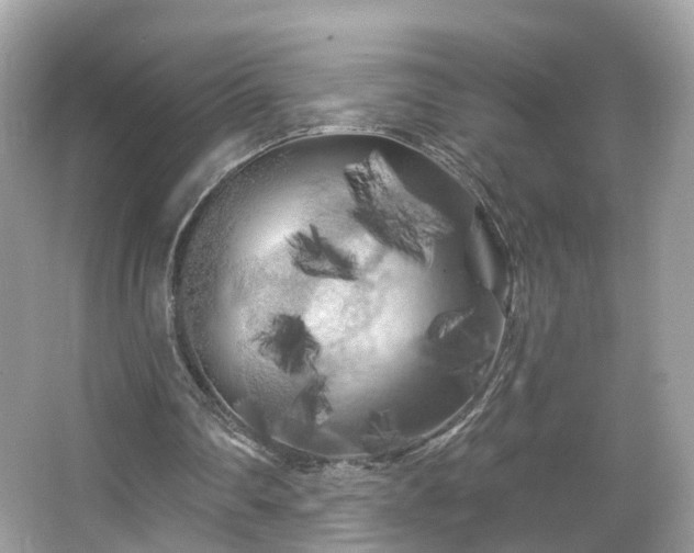 X0000066090290200603131211