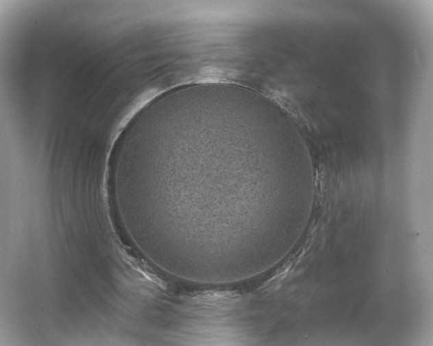 X0000066090292200603131211