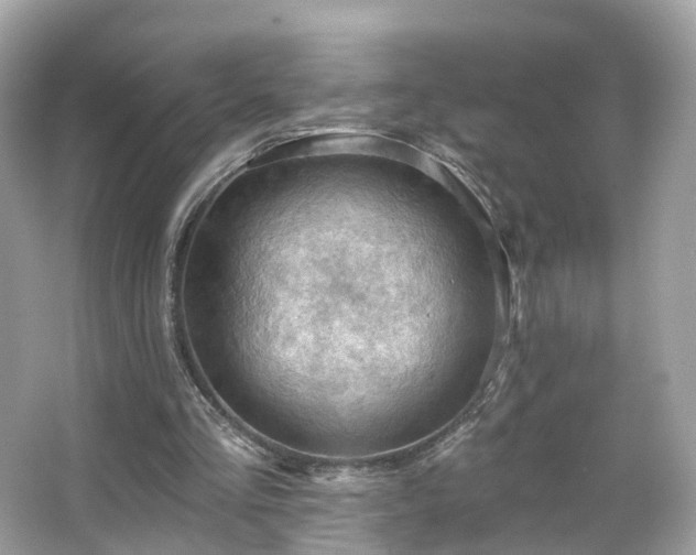 X0000066090293200603131211