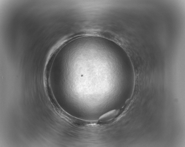 X0000066090294200603131211