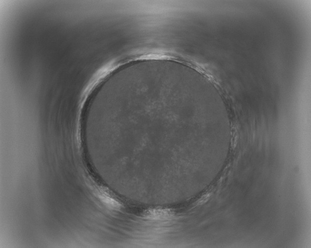 X0000066090296200603131211