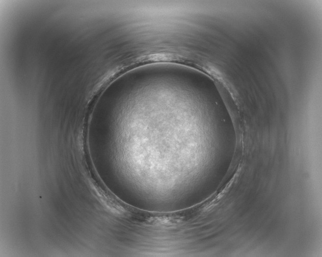 X0000066090297200603131211