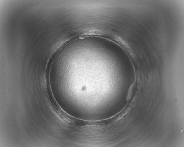 X0000066090298200603131211