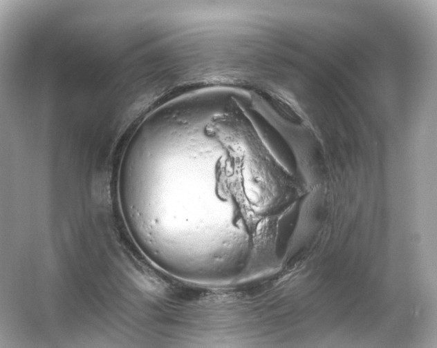 X0000066090299200603131211