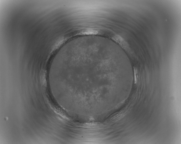 X0000066090300200603131211