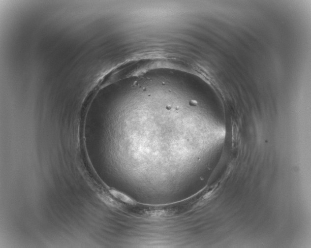 X0000066090301200603131211