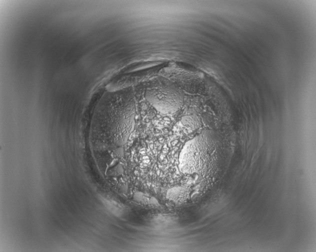 X0000066090303200603131211