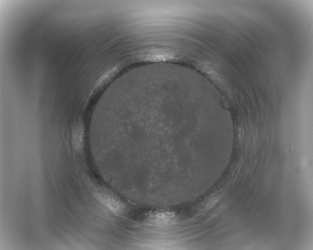 X0000066090304200603131211