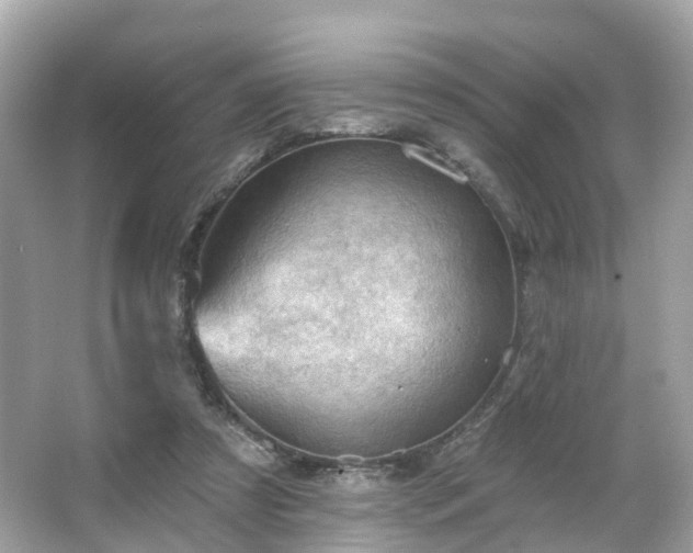 X0000066090305200603131211