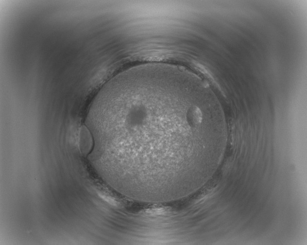 X0000066090307200603131211