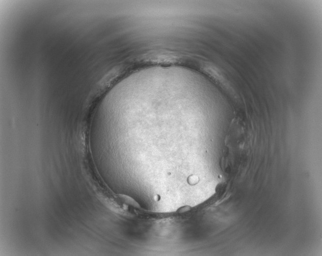 X0000066090309200603131210