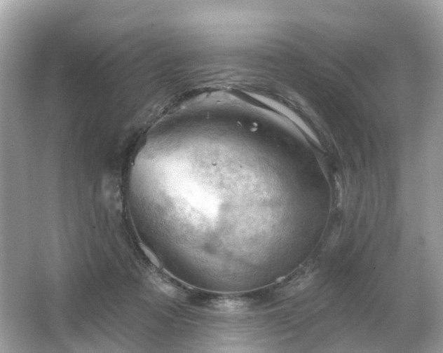 X0000066090313200603131210