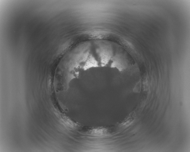 X0000066090314200603131210