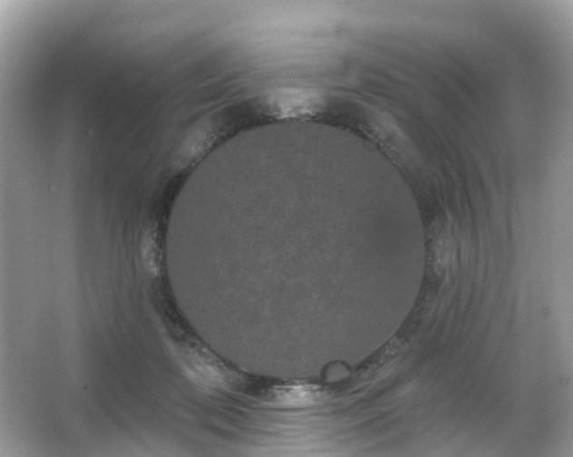 X0000066090316200603131210