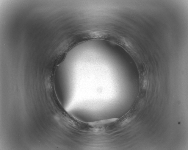 X0000066090317200603131210