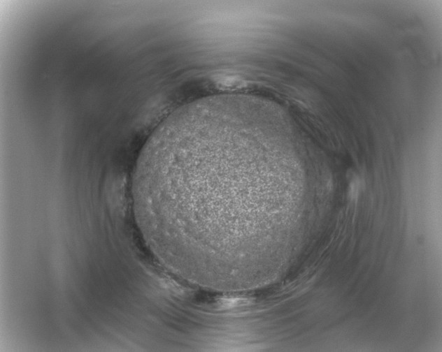 X0000066090319200603131210