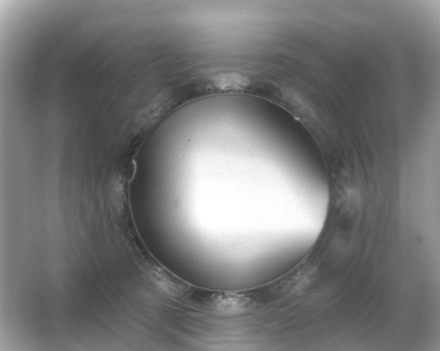 X0000066090321200603131210